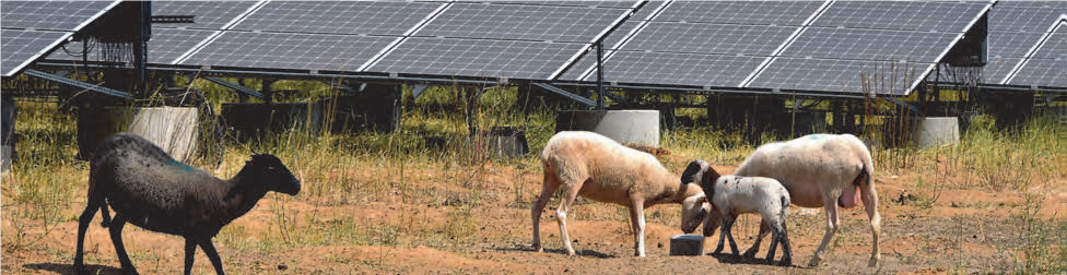 Neue Vermögensanlage Wattner SunAsset 9