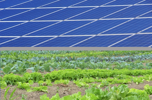 klimaVest: Agri-PV schafft Doppelnutzen